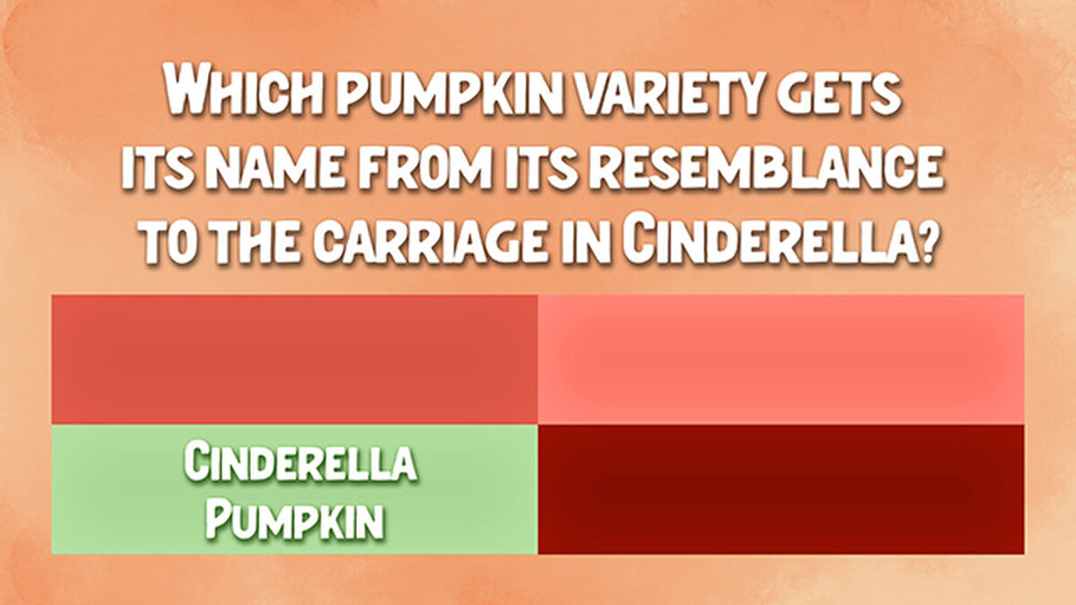 It's All Pumpkins image number null